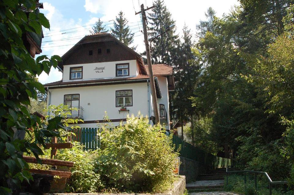 Manyi Villa Бэиле-Тушнад Экстерьер фото